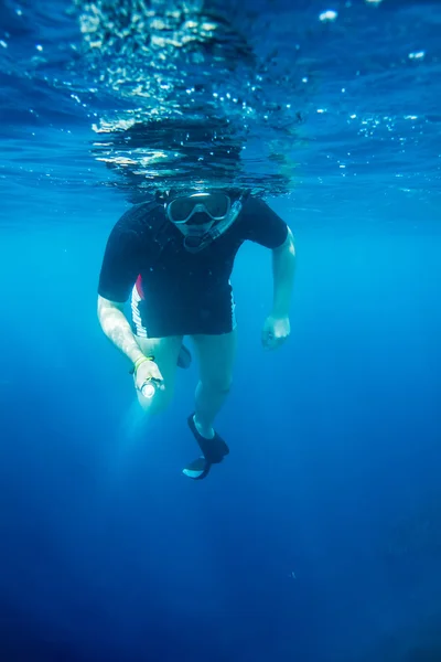 Snorkeler καταδύσεις κατά μήκος του κοραλλιού εγκεφάλου — Φωτογραφία Αρχείου