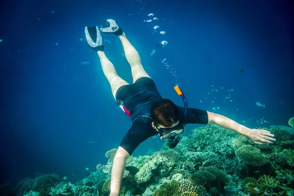 Plongée avec tuba le long du corail cérébral — Photo