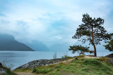 Güzel doğa Norveç.