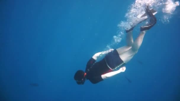 Snorkeler diving along the brain coral — Stock Video