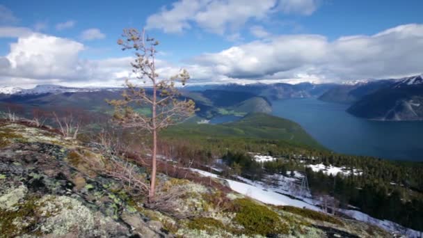 Prachtige natuur Noorwegen. De Sognefjorden. — Stockvideo