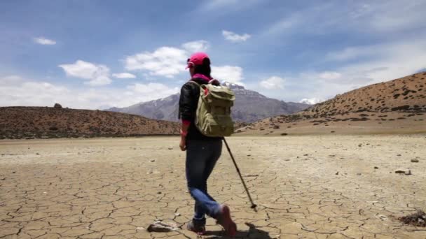 Viajero mujer camina en un lago seco de montaña — Vídeo de stock