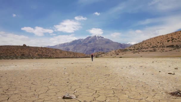 Viajero mujer camina en un lago seco de montaña — Vídeo de stock