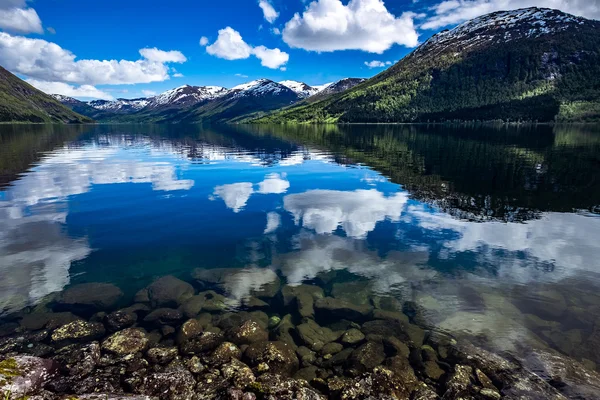 Bella Natura Norvegia . — Foto Stock