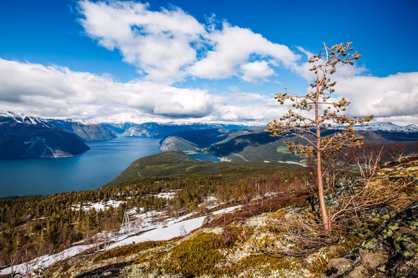 Krásná příroda Norsko - Sognefjorden. — Stock fotografie