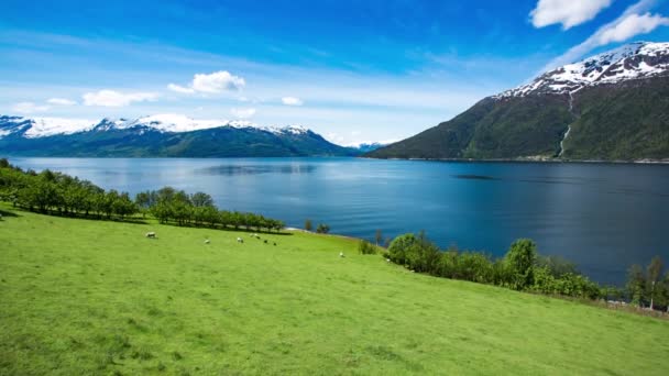 Hermosa naturaleza Noruega paisaje — Vídeos de Stock