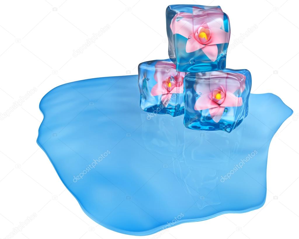 ice cubes with flowers and air bubbles