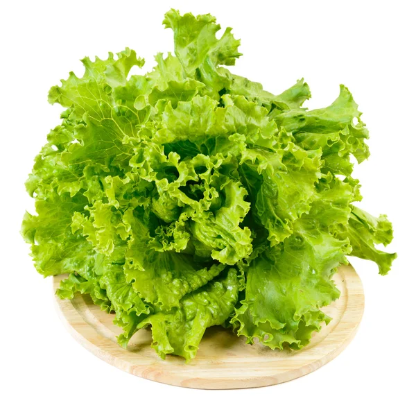 Groene sla salade — Stockfoto