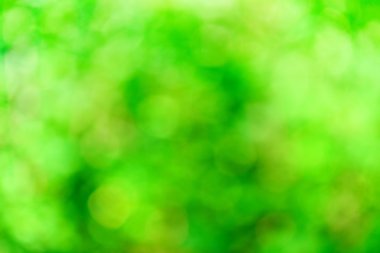 yeşil arka plan bulanık