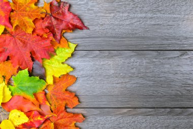 Ahşap arka planda sonbahar yaprakları