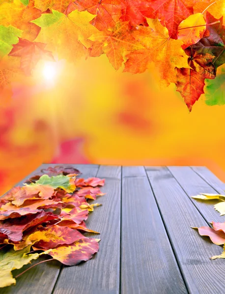 Podzimní listí přes dřevěné pozadí — Stock fotografie