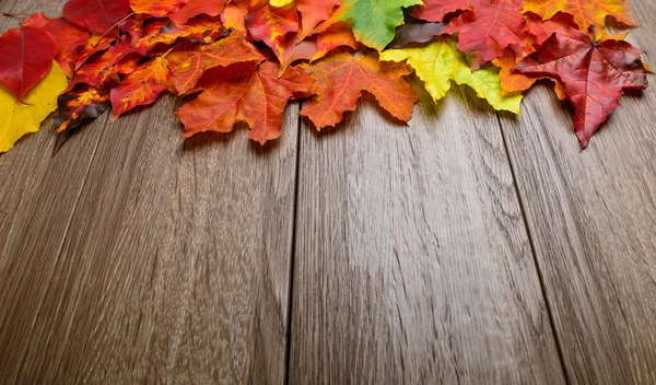 Hojas de otoño sobre fondo de madera — Foto de Stock