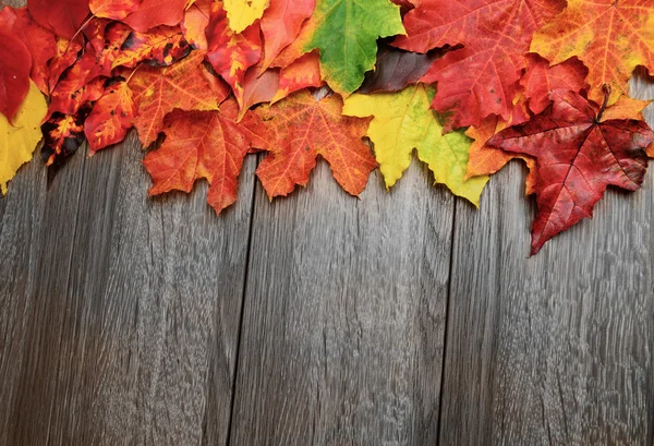 Autumn leaves over wooden background — Stock Photo, Image