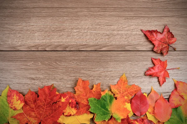 Осенние листья на деревянном фоне — стоковое фото