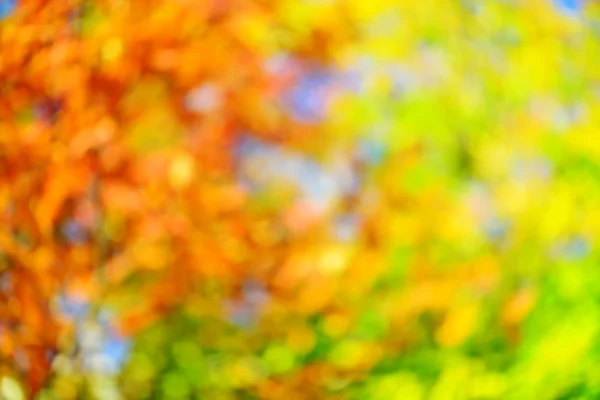 Abstract fall background — Stock Photo, Image