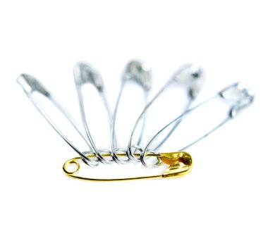 Çengelli iğne liderlik kavramı