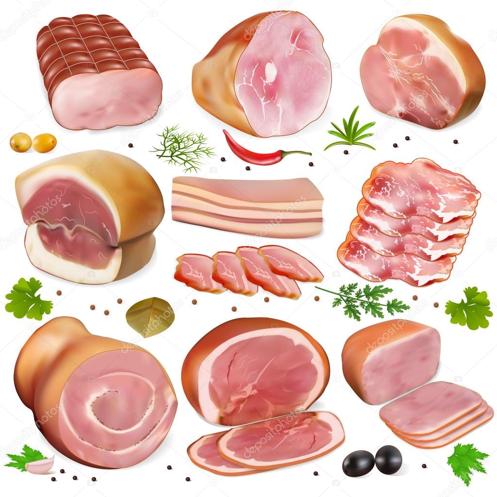 illustration of a set of different kinds of meat