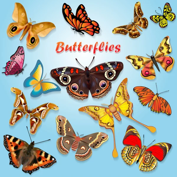 Colorful illustration of beautiful butterflies set of spring — Stock Vector