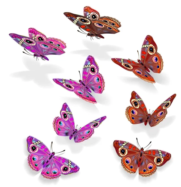 あなたのデザインのための飛行中の美しい蝶のベクトルセット — ストックベクタ