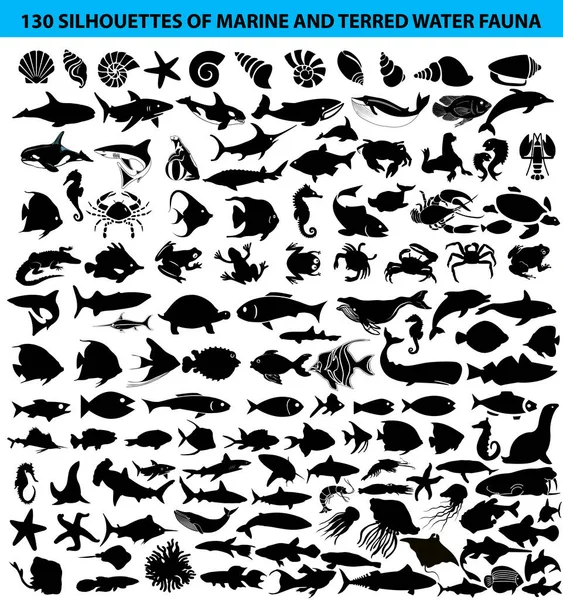 Illustrationsset Von Silhouetten Der Meeres Und Amphibienfauna — Stockvektor