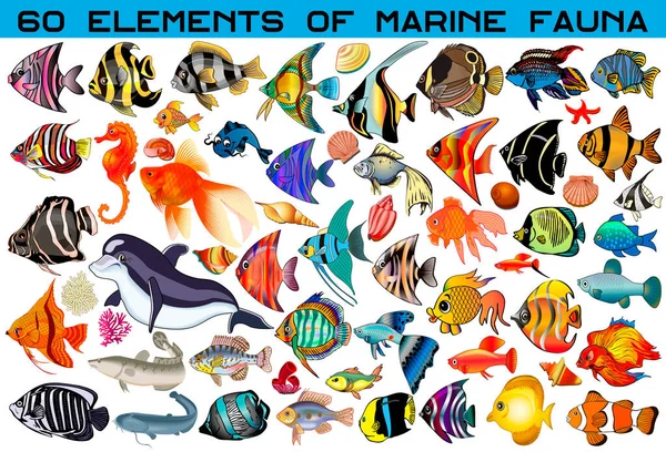 Ilustracja Zbiór Ryb Morskich Zwierząt Mięczaków Stylu Kreskówki Izolowane Białym — Wektor stockowy