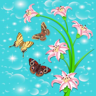 Kelebek ve çiçek arka plan pembe lilyum