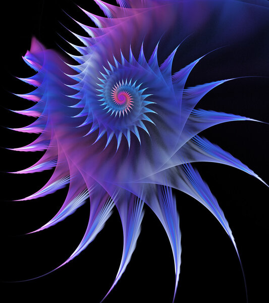 Illustration of a fractal horned sea shell