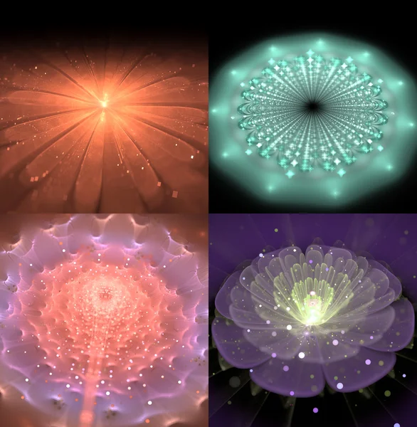 Illustration of a set of fractals fantastic bright shiny flowers — Stock fotografie