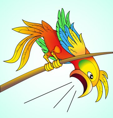 illustration bright parrot yells about news which his its worry clipart