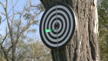 Dart bir parkta oynarken