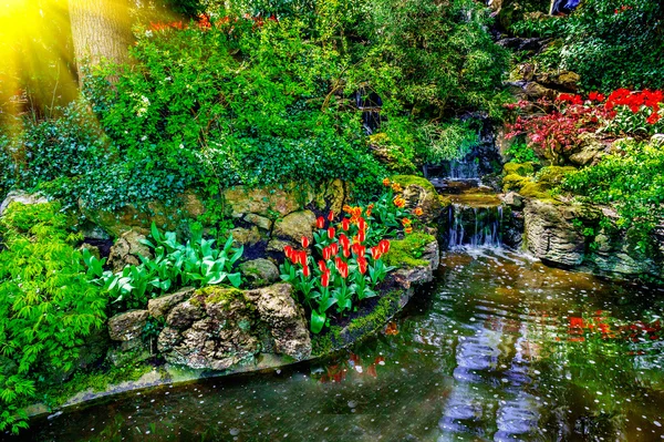 Úžasné creek a záhonu v springtime.Netherlands. — Stock fotografie