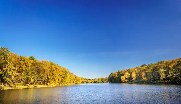 Goldener Herbst. — Stockfoto