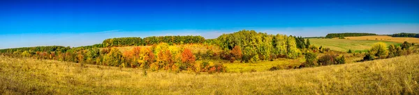 Goldener Herbst. Stockfoto