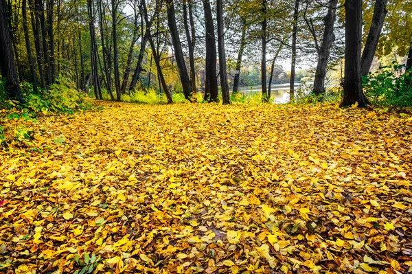 Parting with of autumn. — Stock Photo, Image