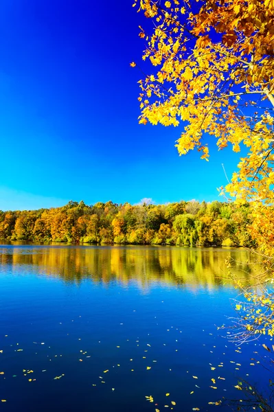 Magic fall over the quiet pond. — Stock Photo, Image