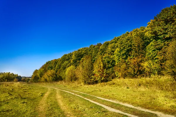 Zlatý podzim nad lesní víla. — Stock fotografie