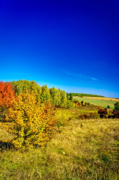 Läckra, fantastiska höst över fälten. — Stockfoto