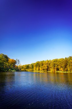 Dalgın sonbahar gölet.