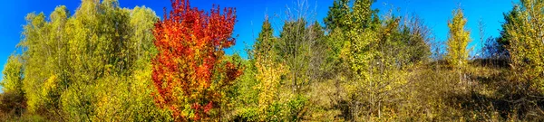 Żywe jesień pejzaż panoramiczny. — Zdjęcie stockowe