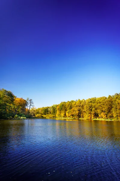 Pensiva lagoa de outono . — Fotografia de Stock