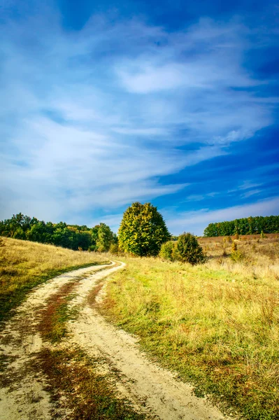 Herbstlicher Blick auf wunderbare Felder, Bäume und blauen Himmel. Stockfoto