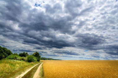Bir yaz fırtına başlıyor.