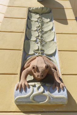 Duvar Dekorasyon kurbağa şeklinde