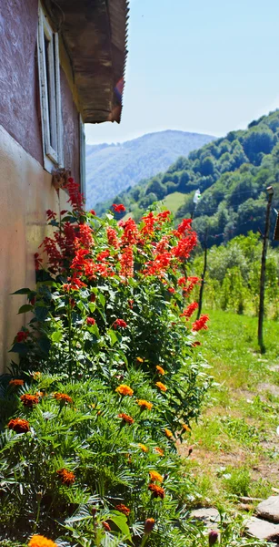 Casa de pueblo flores de colores con montañas en el fondo —  Fotos de Stock