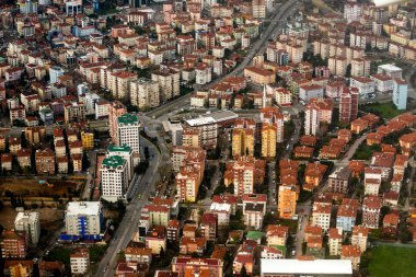 arka plan gökyüzü üzerinde martı uçar