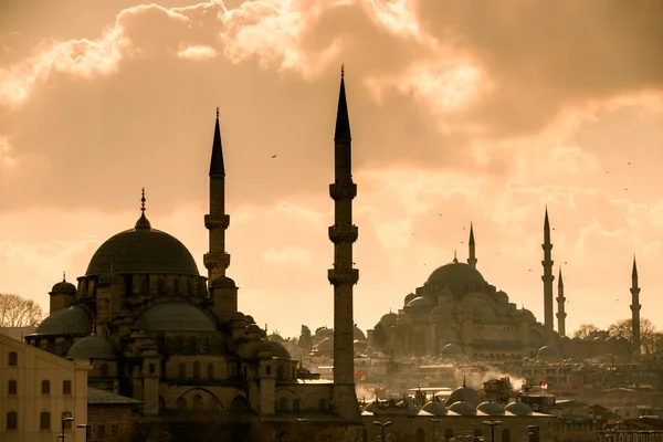 Mosque in Istanbul — Stock Photo, Image