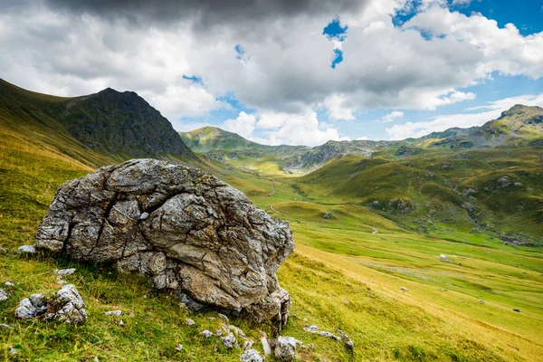 Paesaggio alpino svizzero con piste verdi — Foto Stock