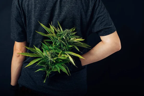 Kannabisz Illegális Orvosi Marihuána Mint Gyógyszer — Stock Fotó