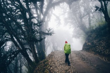 Siste sırt çantalı bir turist dağ yolunda yürüyüş yapıyor ve dinleniyor.