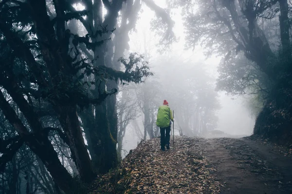 Autumn Walks Backpack Mountains — Stock Photo, Image